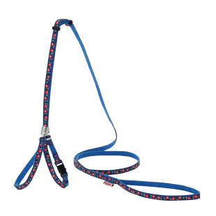 日本Petio派地奥宠物胸背牵引防挣脱猫咪绳子英短德文遛猫绳猫绳