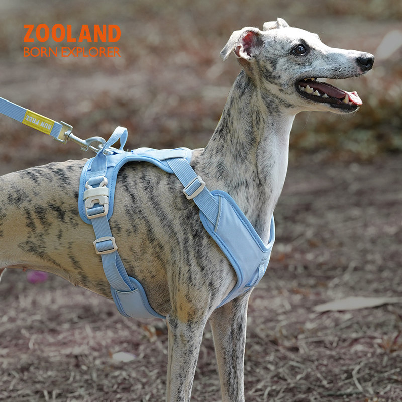 ZOOLAND狗狗胸背牵引绳外出遛狗绳比熊柯基法斗边牧博美绳子狗链图片