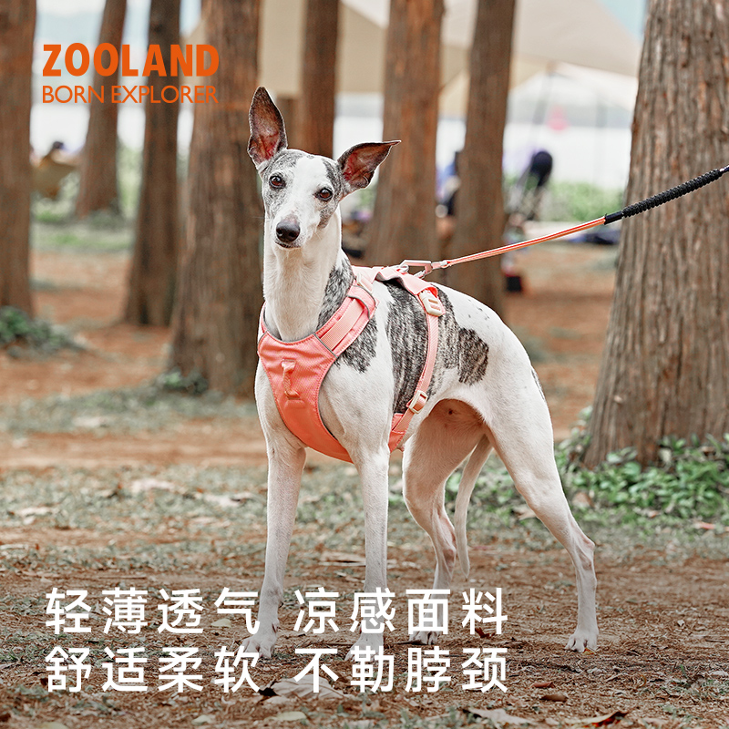 zooland胸背夏日透气轻量防水胸背柯基小中大型犬外出遛狗牵引绳