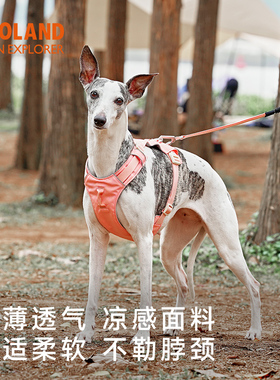 zooland胸背夏日透气轻量防水胸背柯基小中大型犬外出遛狗牵引绳