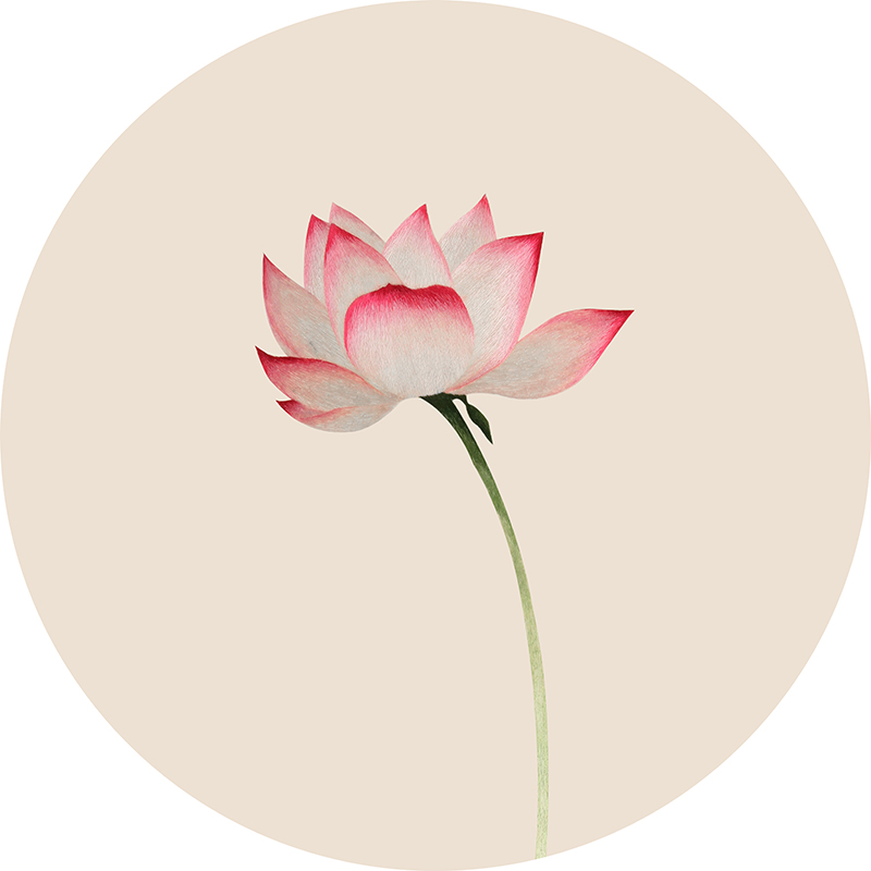 苏小鱼苏绣DIY套件刺绣材料包