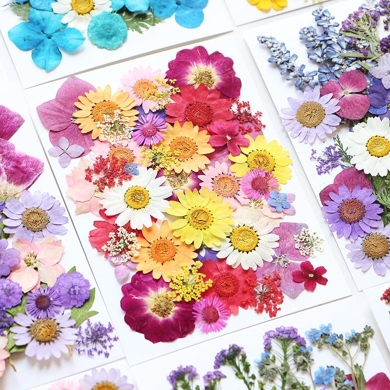 干花植物樹葉標本diy材料包