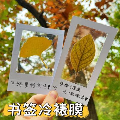 书签塑封膜植物树叶标本透