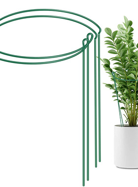 花卉防倒支架盆栽支撑杆花架子支撑兰花大花葱百合植物固定园艺造
