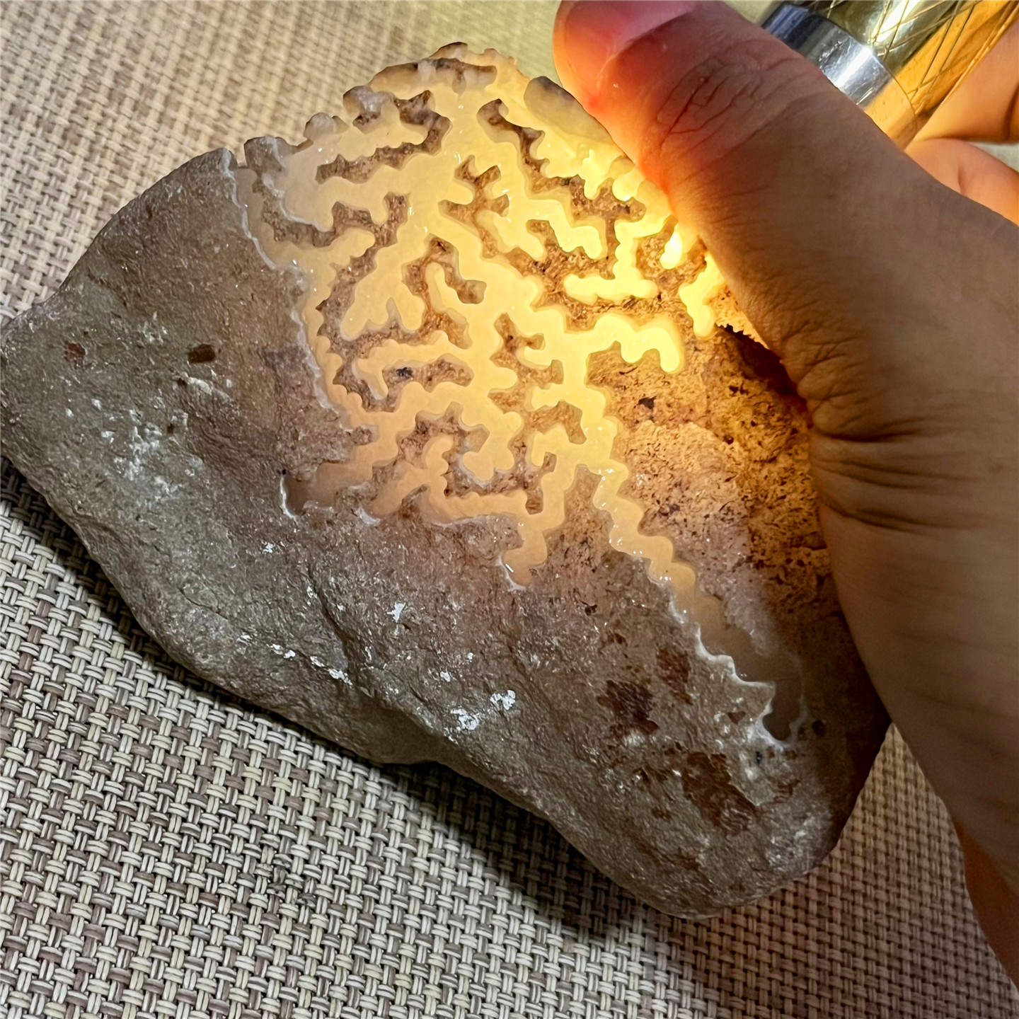 天然老坑翡翠玉石木那冰春牌子料