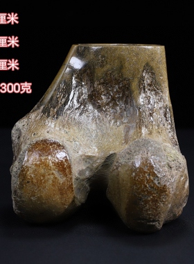 古玩杂项旧藏珍藏高仿动物骨骼化石笔筒摆件老物件摆件