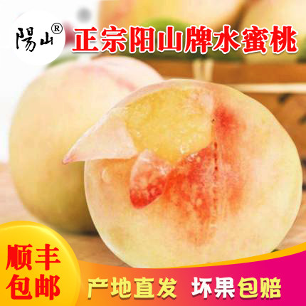 无锡阳山水蜜桃新鲜水果产地直供5-6两12个礼盒装当季桃现摘现发在类目 水产肉类/新鲜蔬果/熟食, 新鲜水果, 桃中 - 来自Buy2taobao.com提供专业的淘宝代购服务