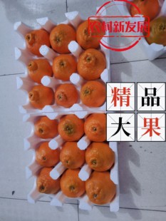 生态种植新品种耙耙柑大雅柑优质新鲜大果精品老人小孩孕妇爱吃