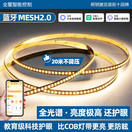 已接入米家APP智能mesh2.0灯带24V无频闪高亮度led灯条双眼皮灯带