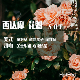【温床咖啡意式SOE】埃塞俄比亚 西达摩 日晒 花魁 罕见的花香型