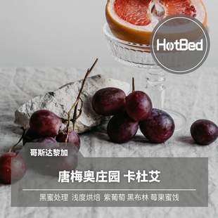 【温床咖啡】哥斯达黎加 唐梅奥庄园 黑蜜处理 卡杜艾