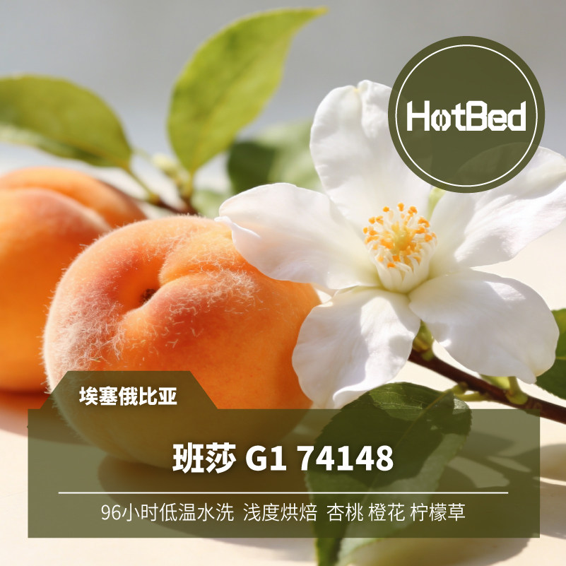 【挂耳】 埃塞 班莎 G1 96小时低温水洗 74148 5包 每包12克