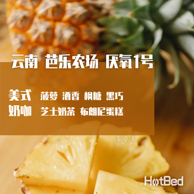 【温床咖啡意式SOE】云南孟连芭乐农场厌氧日晒1号具象的菠萝风味