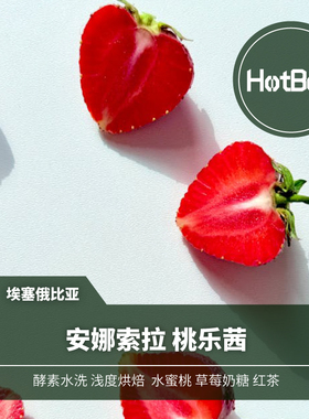 【温床咖啡】埃塞 安娜索拉 桃乐茜 酵素水洗 低酸高甜 蜜桃香气