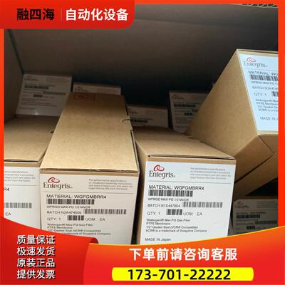 Entegris 英特格 应特格 1/2寸气体 过滤器【议价】