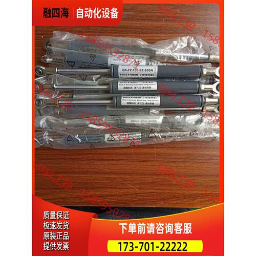 ACE GS-22-100-EE-800N【议价】