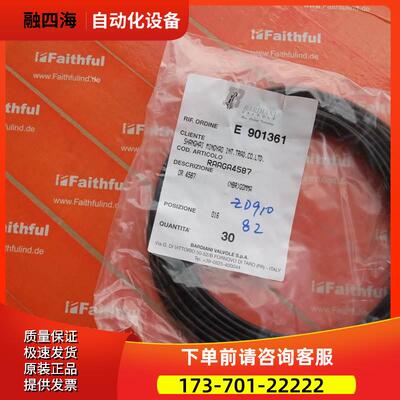 Bardiani RAAGA4587 意大利Bardiani阀门用密封圈【议价】
