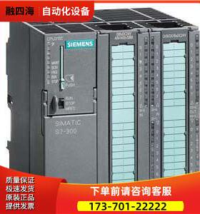 6ES7313-6CF03-0AB0【议价】