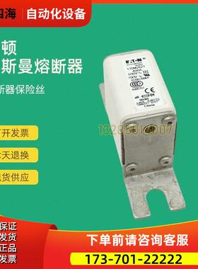 快速熔断器保险170M2073 170M2074 170M2075 170M2076议【议价】