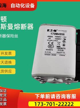 快速熔断器保险170M4986 170M4987 170M4988 170M4989【议价】
