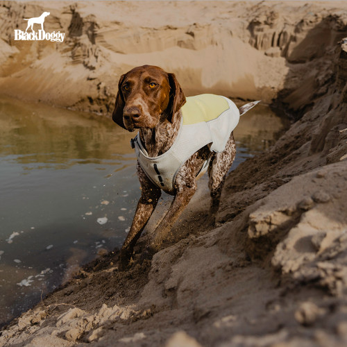 BlackDoggy狗狗夏季防暑降温服中小型犬户外活动凉凉衣