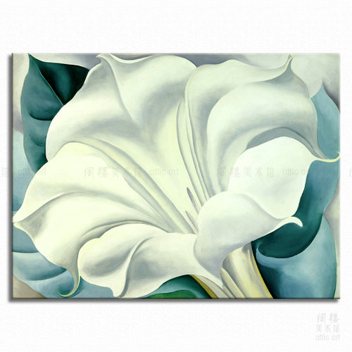 白色牵牛花欧姬芙艺术风装饰画
