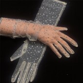 新款 烫钻网纱网红香槟色手套新娘影楼写真摄影配饰 婚纱手套中长款