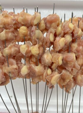 掌中宝鸡脆骨串商用批发半成品烧烤食材原味鸡脚肉串膝软骨串20串