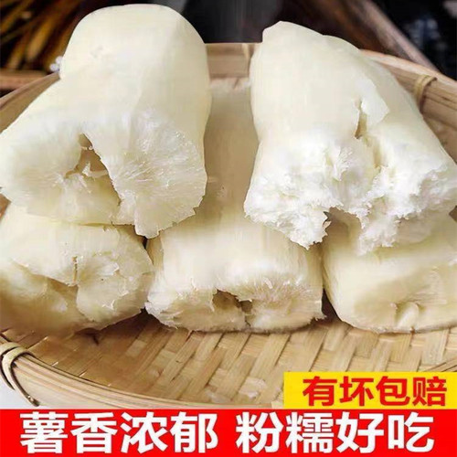 现挖甜木薯新鲜红皮白肉木薯面包木薯 fresh cassava粉糯非黄肉