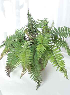 高仿蕨叶波斯草植物盆景装饰北欧绿植造景办公室场景落地摆件盆栽