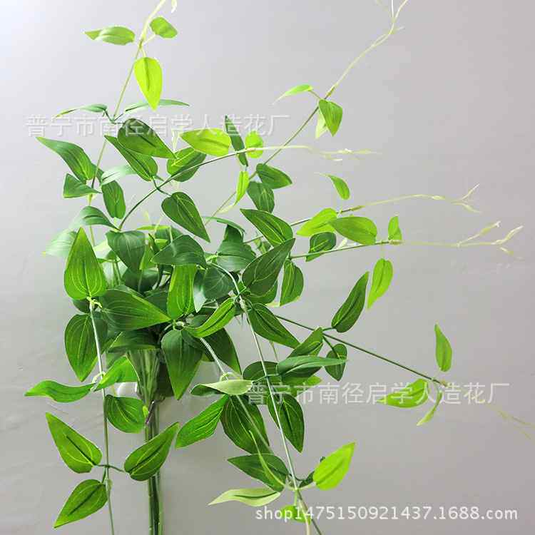 仿真花假草绿萝花藤条壁挂草藤 插花配材 4叉壁挂铁线莲叶仿真藤