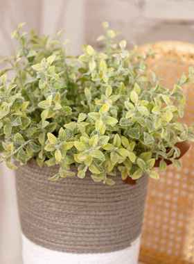 厂家销售 植毛瓜子草尤加利配草仿真花假花婚庆装饰GF16294A