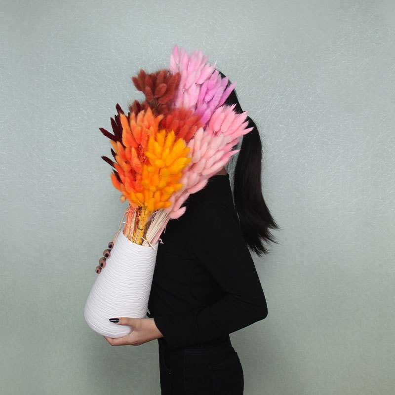 干花花束彩色兔尾草 真花永生花60支/束狗尾巴草ins风装饰