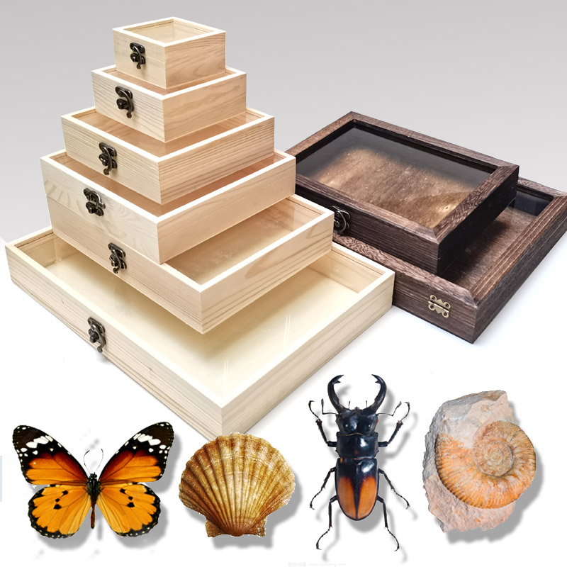 昆虫蝴蝶标本收集纳盒实木翻盖
