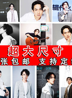 林宥嘉海报演唱会明星写真大尺寸