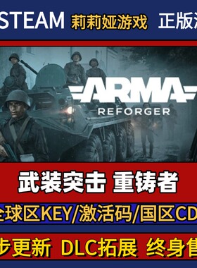 武装突击 重铸者 Steam正版游戏激活码CDK入库 Pc简中全DLC入库