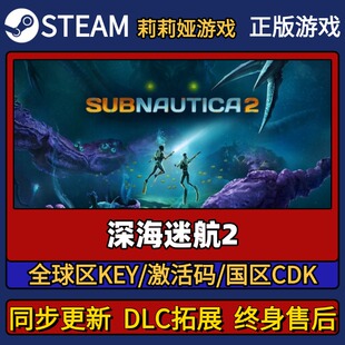 深海迷航2 Steam正版游戏激活码CDK入库 Pc简中全DLC激活入库