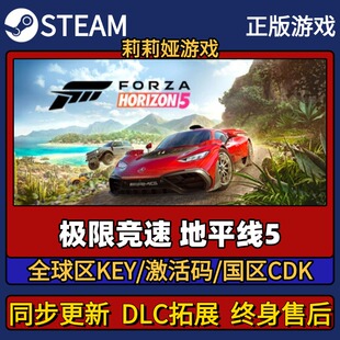 极限竞速地平线5 Steam正版游戏激活码CDK入库 Pc简中全DLC入库