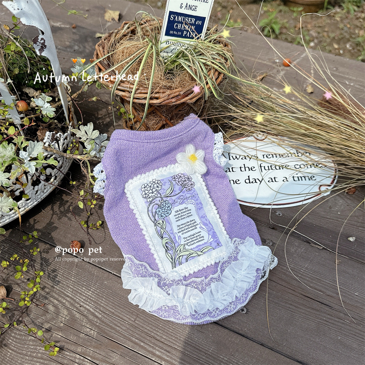 紫色蕾丝针织衫!舒适亲肤 Q弹软糯 秋冬宠物衣服猫咪狗狗毛衣背心