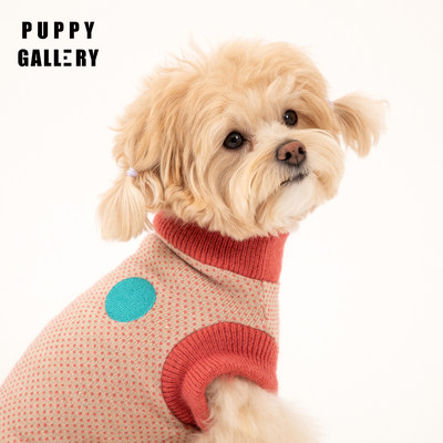 韩国puppygallery猫针织衫毛衣