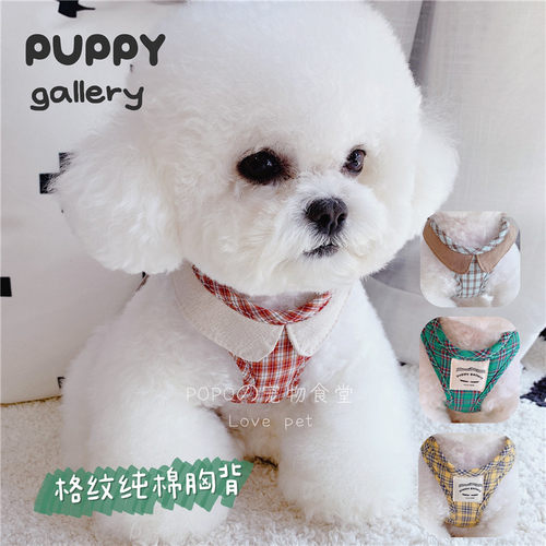 PuppyGallery猫咪狗狗遛狗