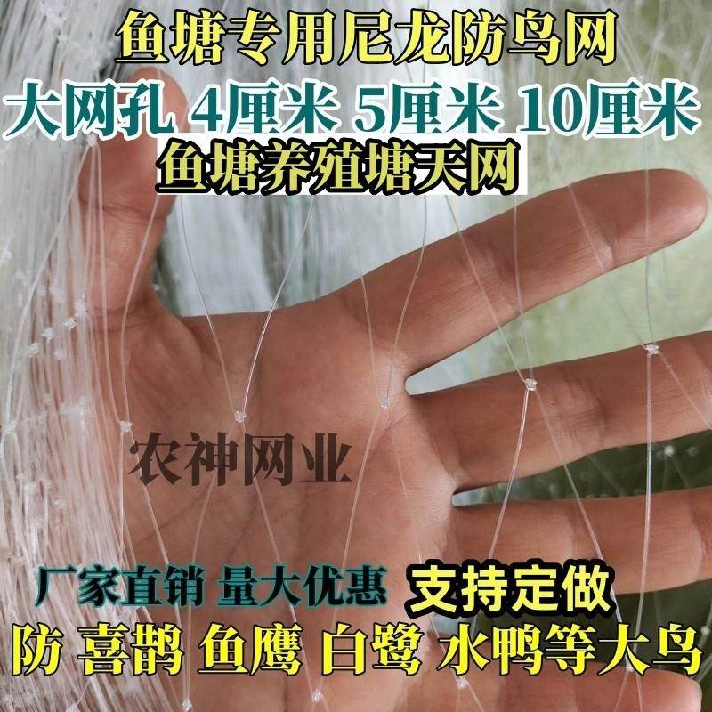 鱼塘尼龙防鸟网4厘米5厘米网眼10公分孔池塘泥鳅青蛙龙虾养殖天网,农机/农具/农膜,农用防鸟网,淘宝优惠券,粉丝福利购,淘宝优惠卷