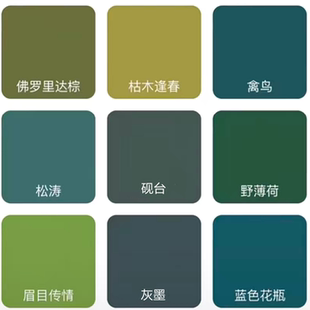 佛罗里达棕绿色系内墙家装自刷净味环保水性哑光彩色乳胶漆