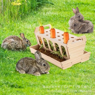 宠物喂食器家兔兔笼食物分配器顶部可拆卸豚鼠龙猫实木架