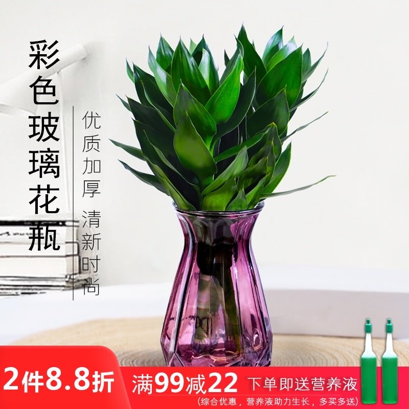 花瓶玻璃透明绿色 价格 怎么样 图片