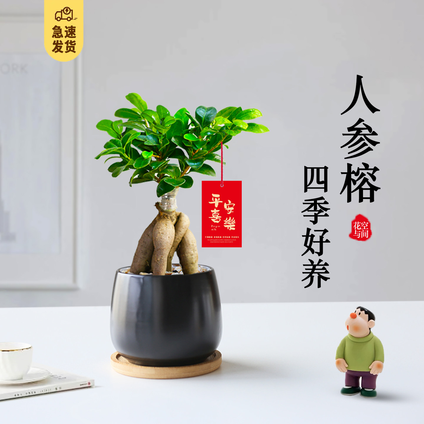 小榕树盆栽室内植物造型树桩盆景好养活四季常青小叶榕树桌面绿植