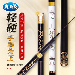 闲鱼二手市场龙王恨龙战江湖钓鱼竿超轻超硬台钓竿鲫鲤鱼杆手竿野
