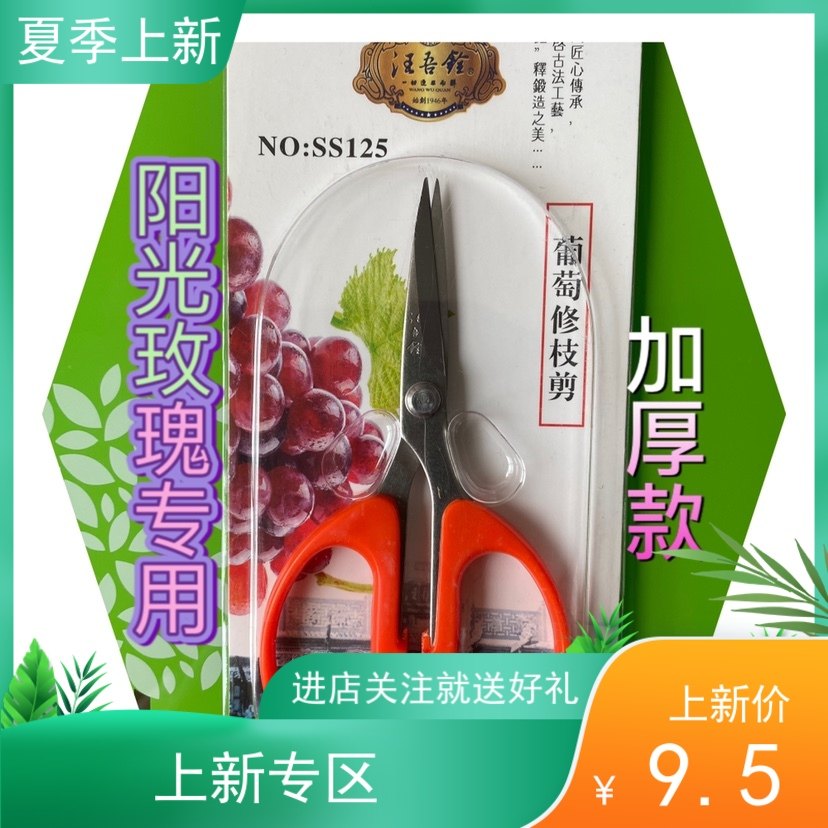 Hot sale Wang Wuquan Sunshine rose grape repair fruit and vegetable fruit thin fruit stainless steel elbow straight head gardening special scissors