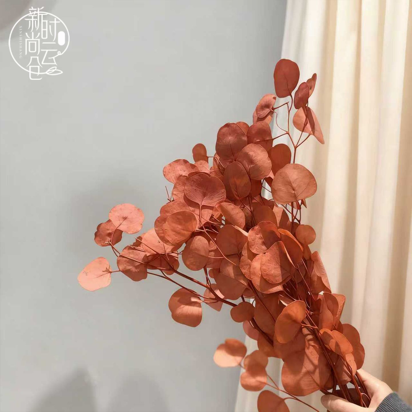 ins风进口银扇干花叶永生花