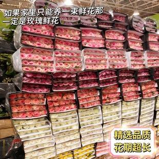 玫瑰花鲜花家用客厅摆设造景鲜切插花花瓶超长花期真花卉云南基地